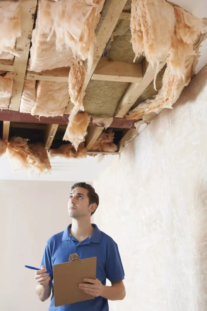 independent adjuster